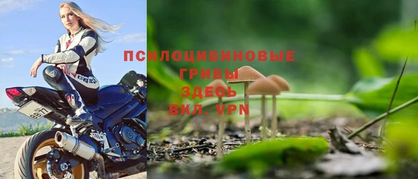 тгк Осташков